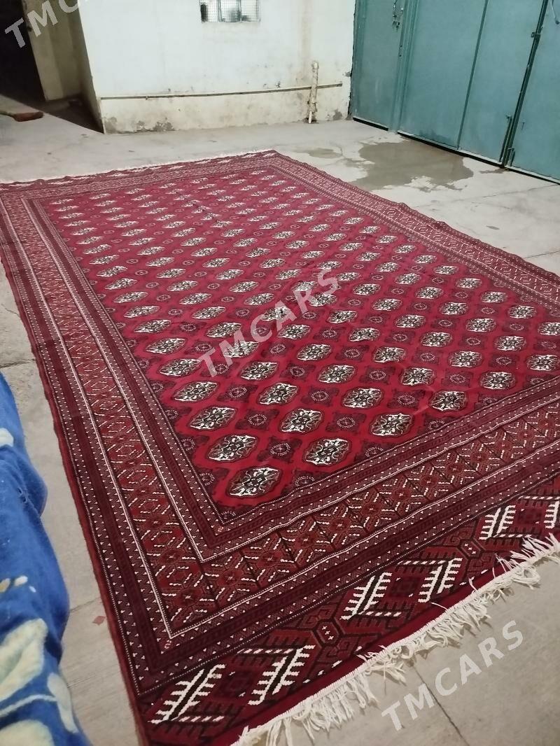 hali - Baýramaly - img 2