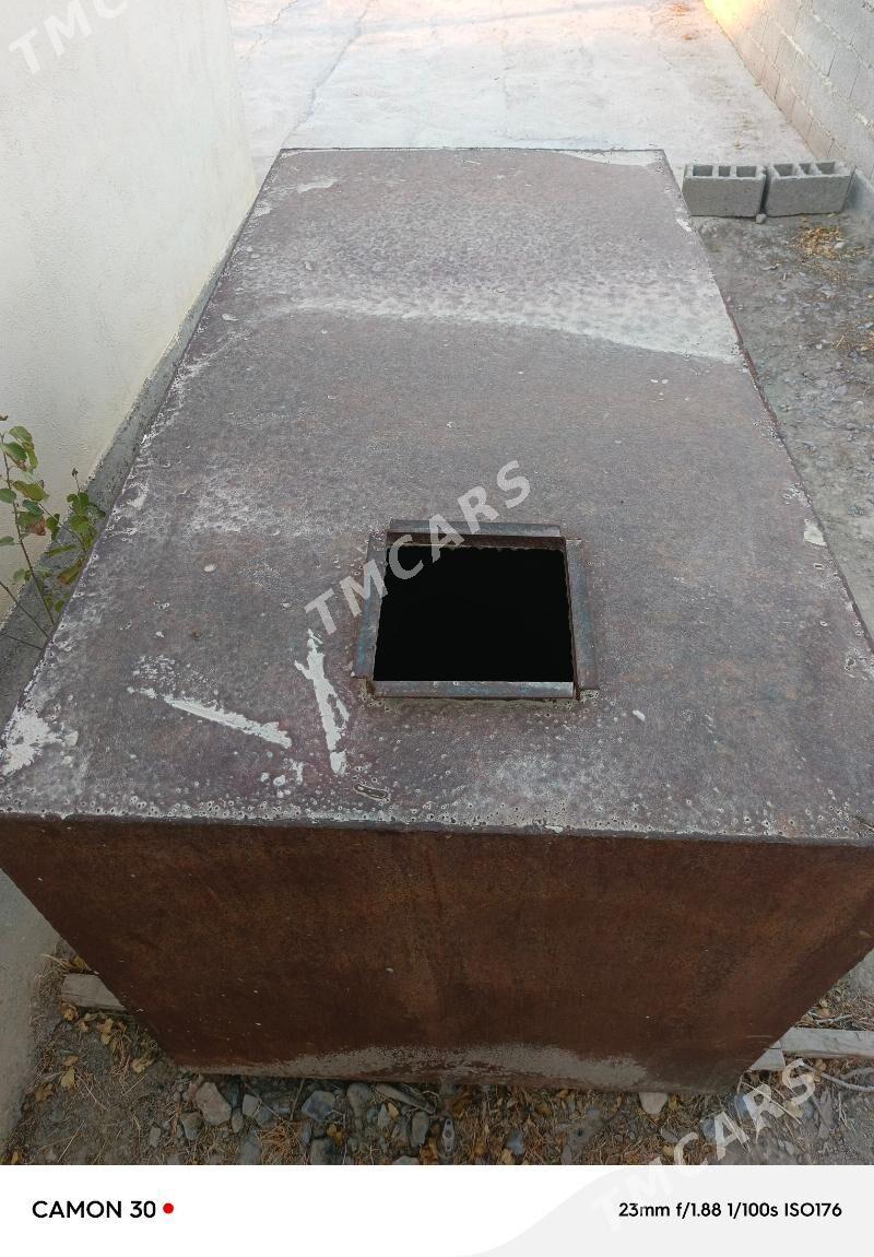 Gadymy çeň - Bäherden - img 3