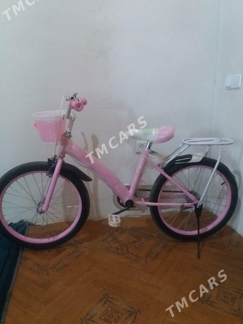 welesapet - Дашогуз - img 2