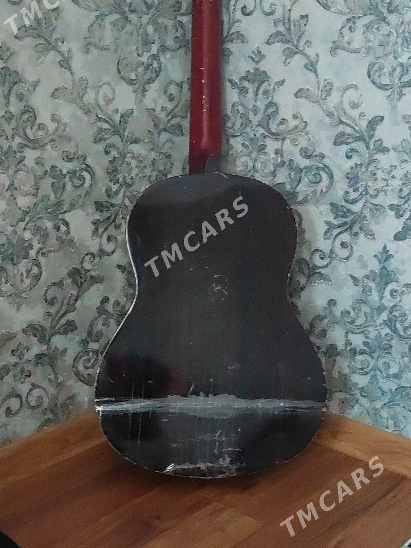 Gitara SANCHEZ  - Aşgabat - img 2