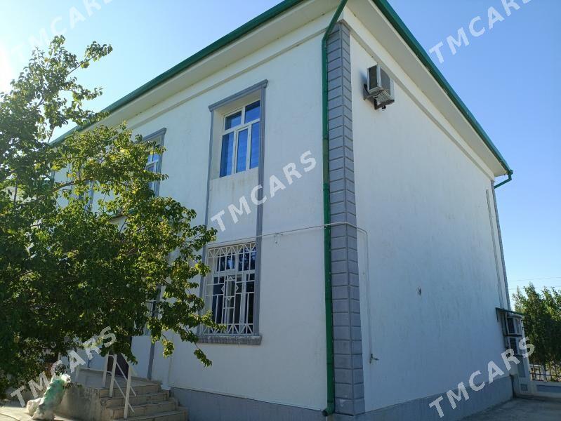 kotez - Ашхабад - img 5