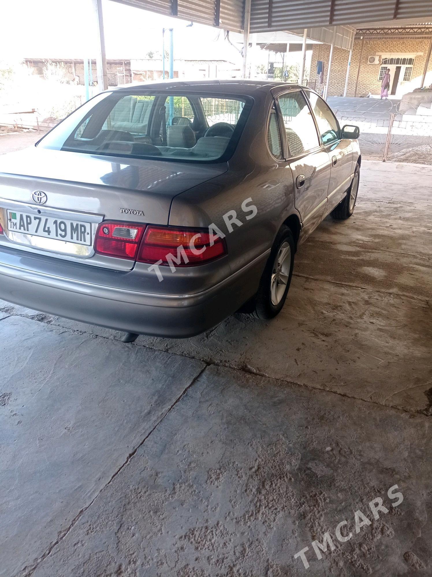 Toyota Avalon 1999 - 130 000 TMT - Sakarçäge - img 5