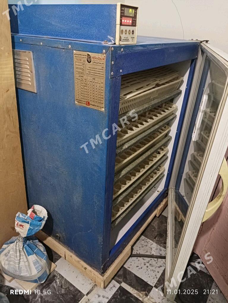 inkubatir инкубатир - Дашогуз - img 2