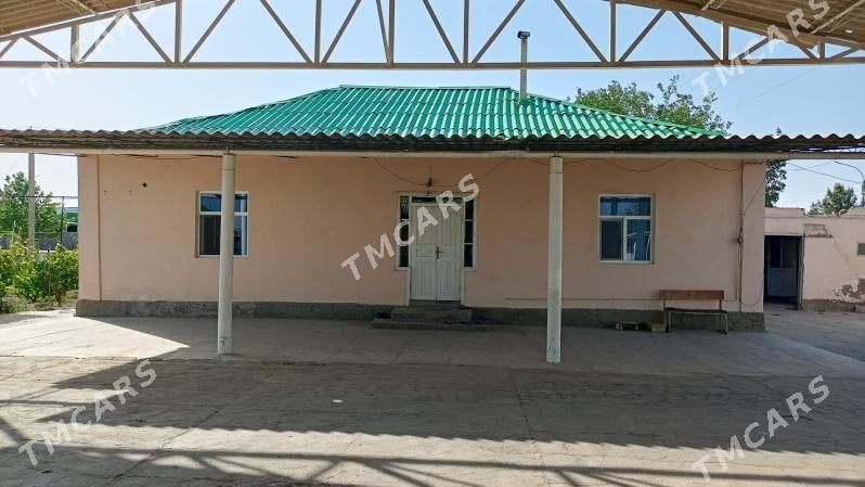 Satlyk jay - Aşgabat - img 10