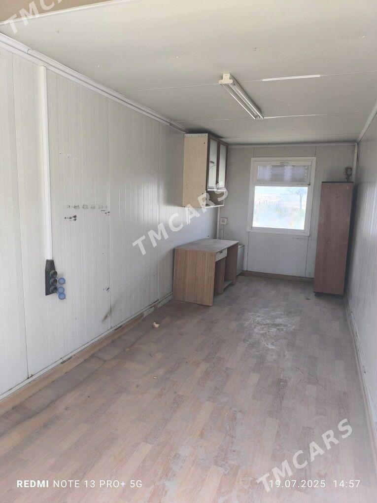 kamp sokilip yygnalyan - Kaka - img 2
