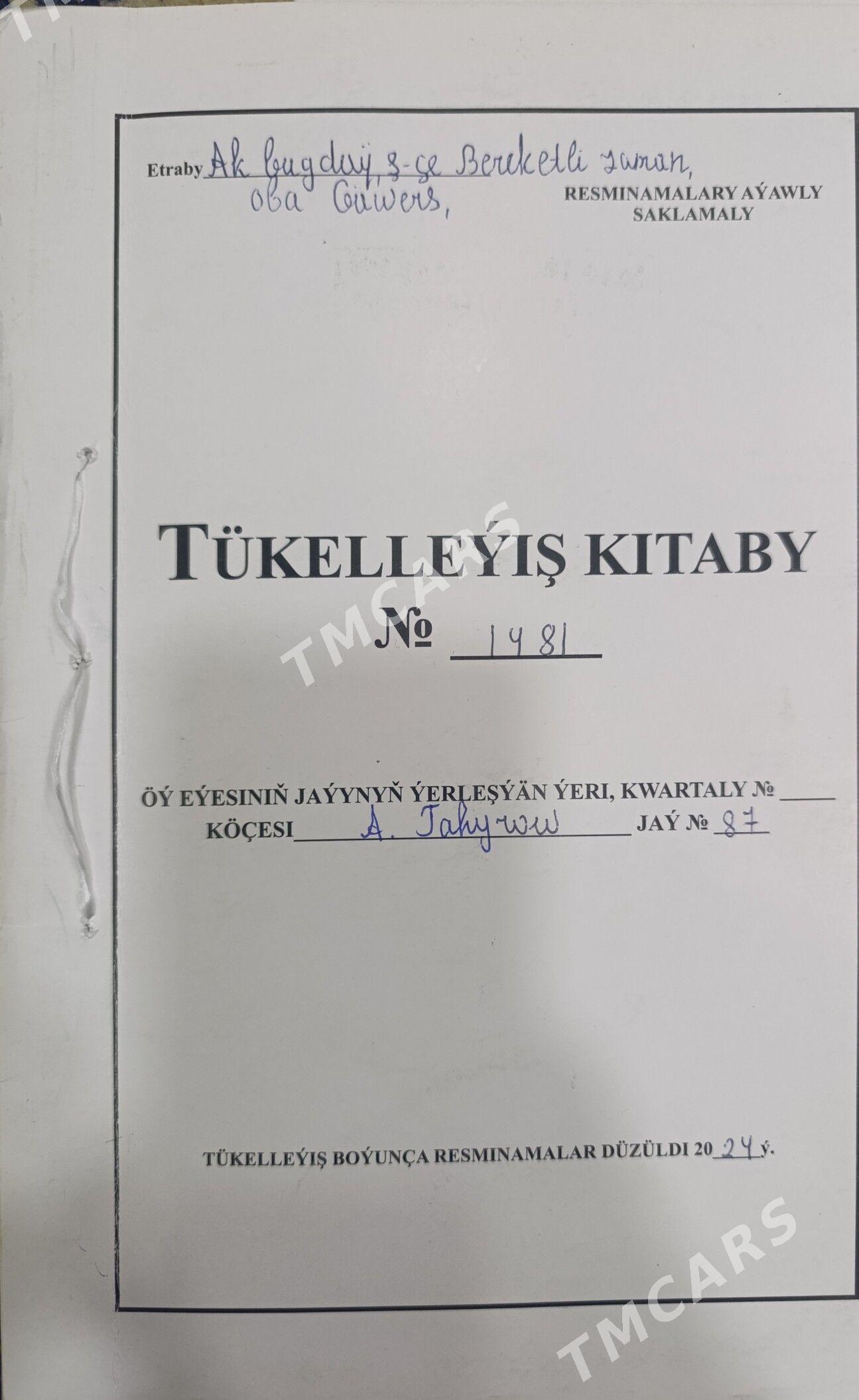 Satlyk Jaý 12 sotok Gäwers - Ак-Бугдайский этрап - img 9