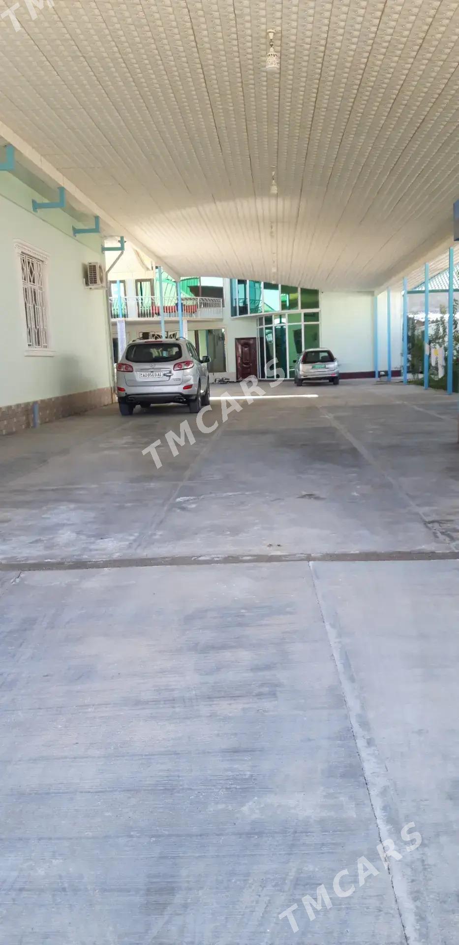 Gosa kotej - Ак-Бугдайский этрап - img 7