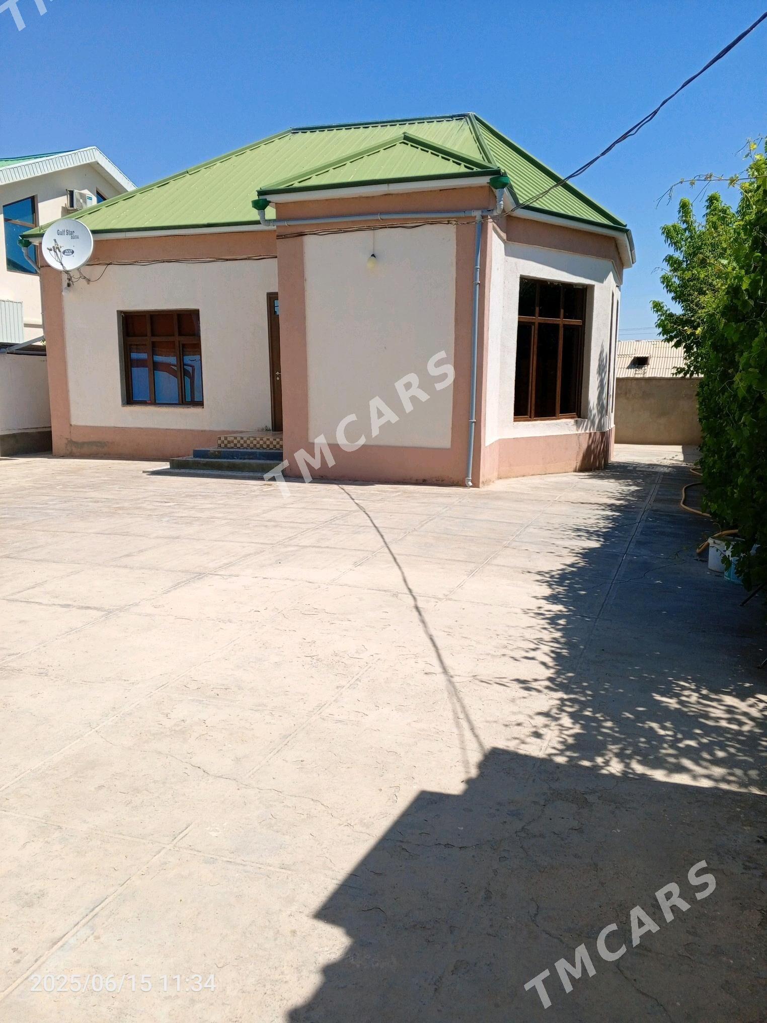 Bagyr mirewe - Багир - img 7