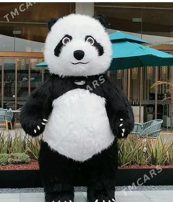Ayy we panda - Gökdepe - img 2