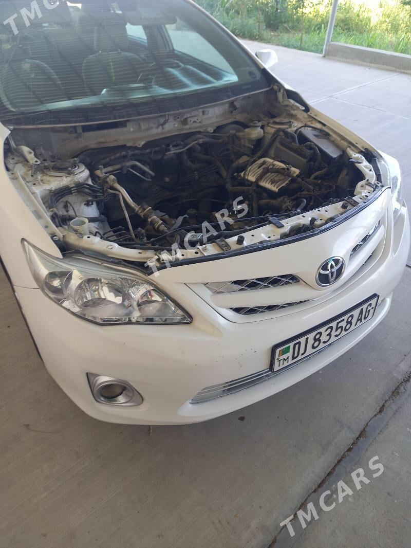 Toyota Corolla 2009 - 125 000 TMT - Gökje - img 2