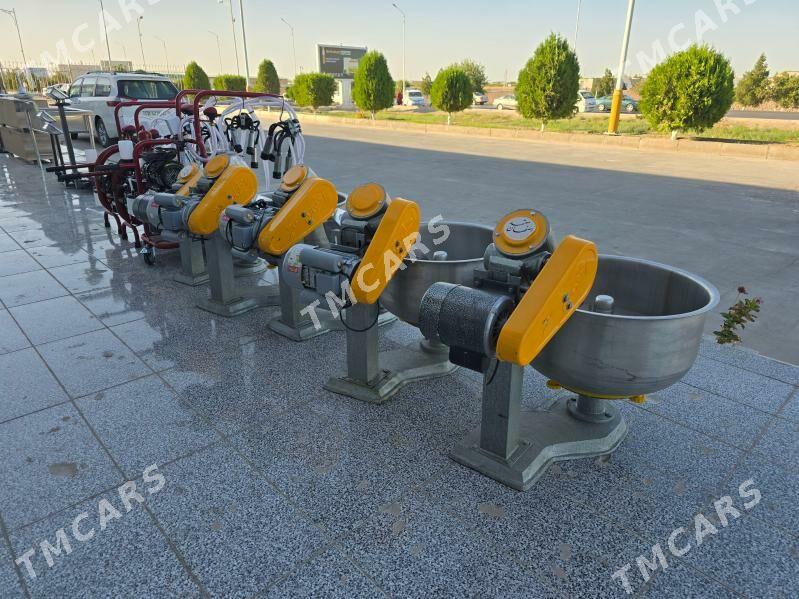 hamyr garyan eyran mishalka - Türkmenabat - img 3