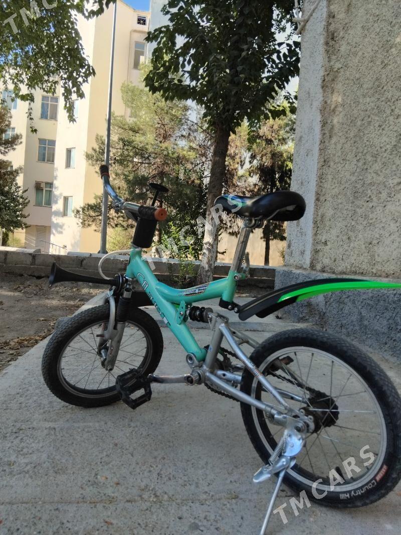 Tigir Kama - Aşgabat - img 4