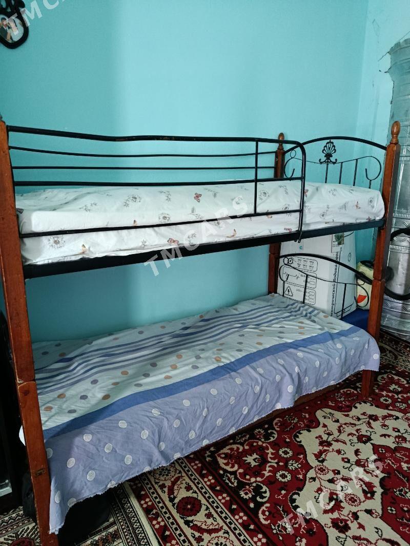 Krawat - Türkmenabat - img 3