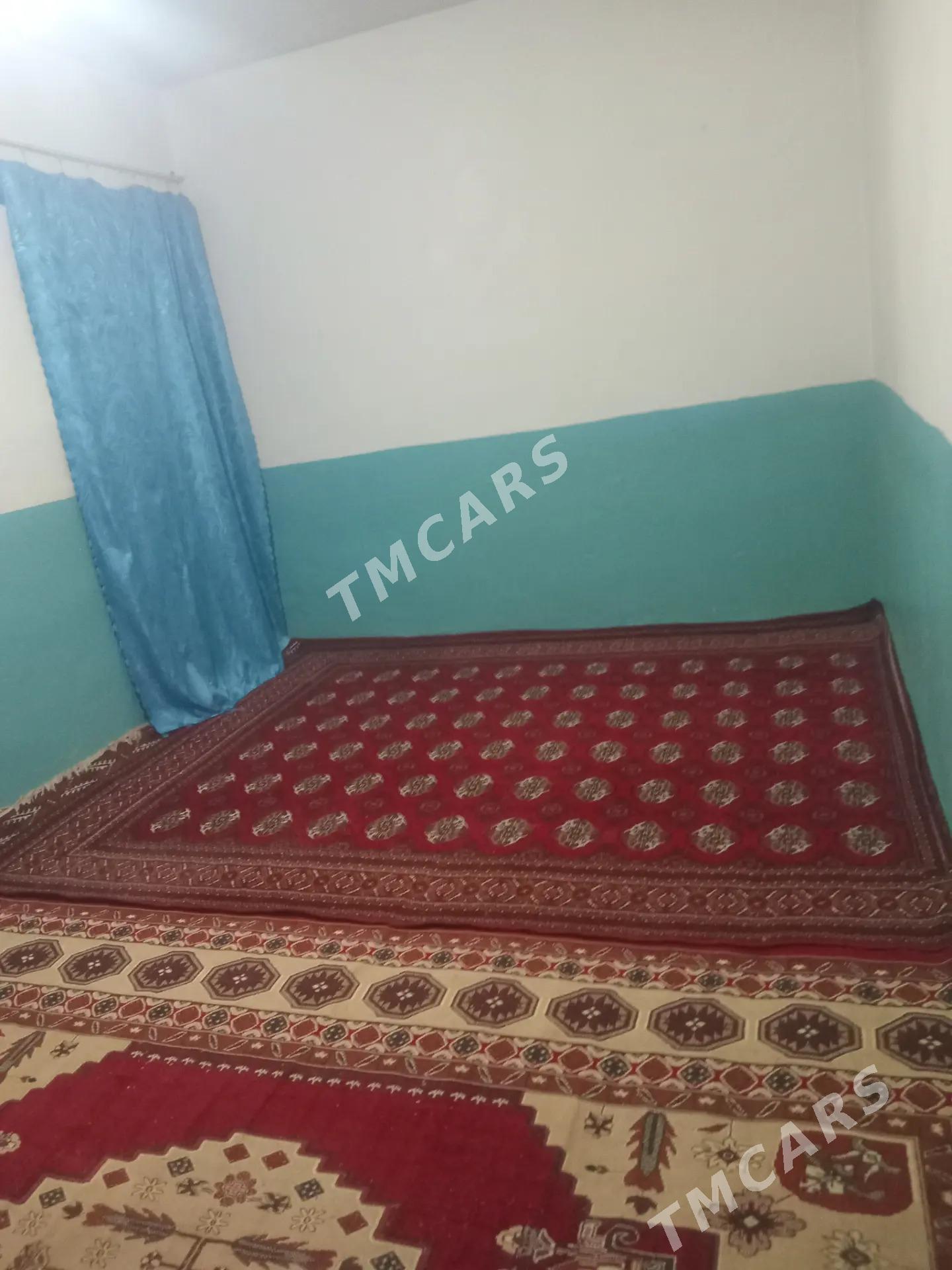 satlyk jaỳ - Halaç - img 3