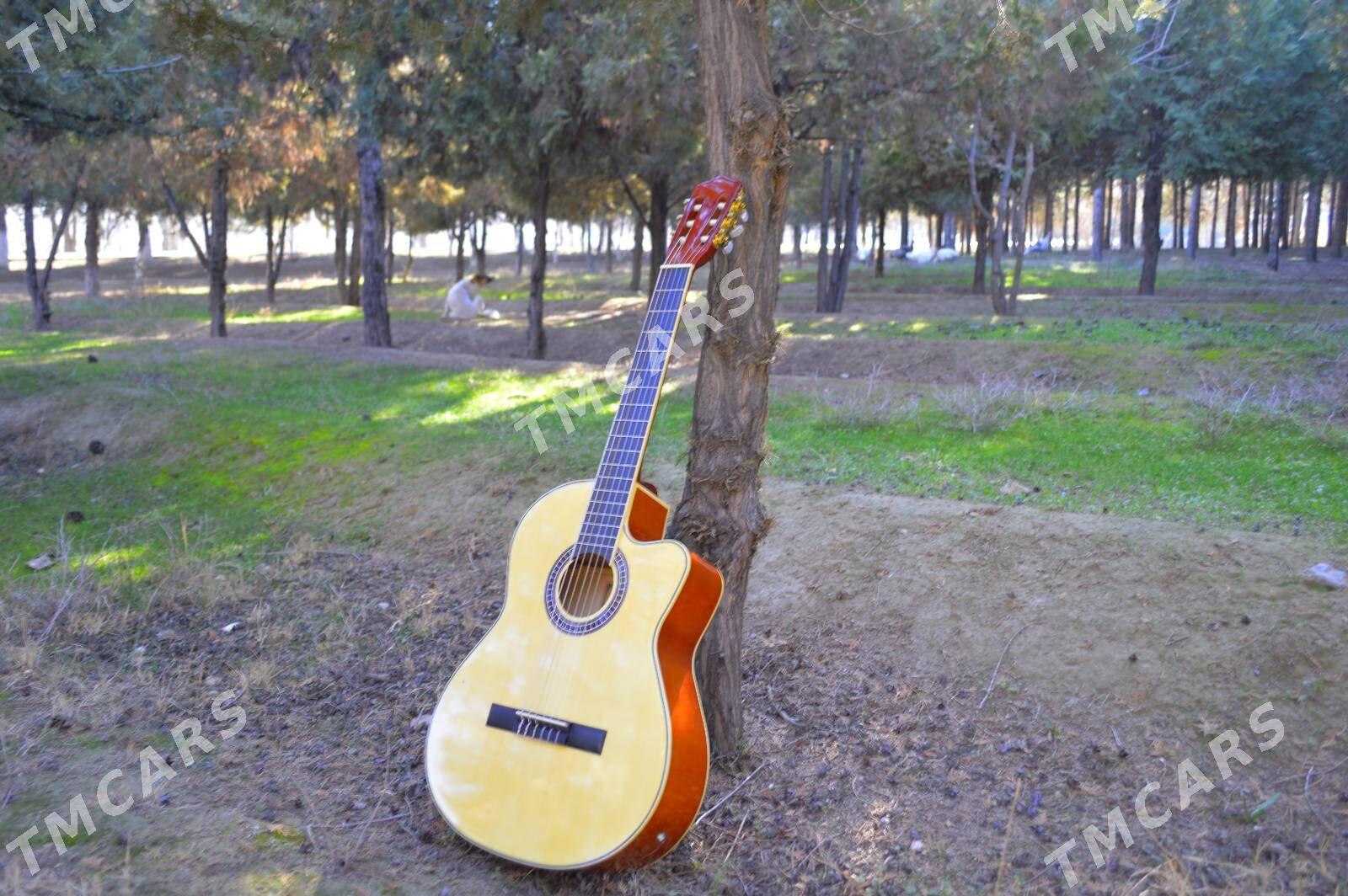 TAYSTE GITARA - Türkmenabat - img 3