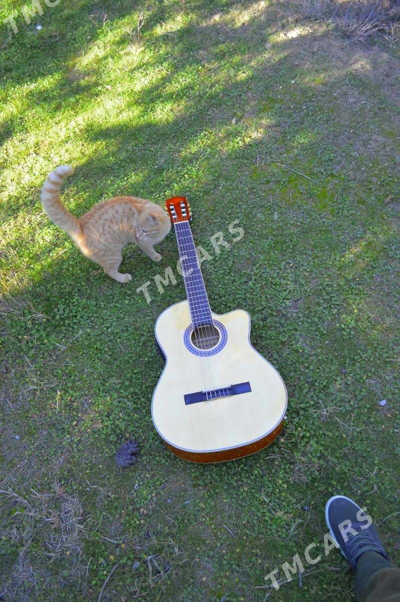 TAYSTE GITARA - Türkmenabat - img 2