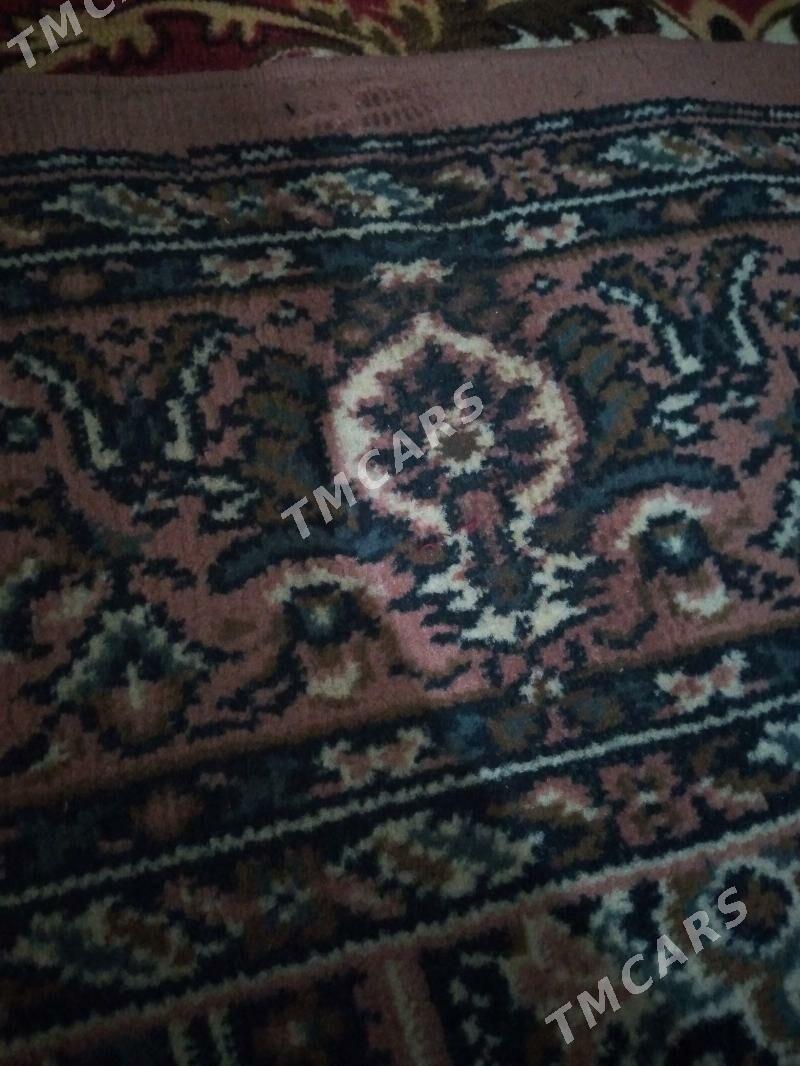  Daroşka  - Aşgabat - img 3