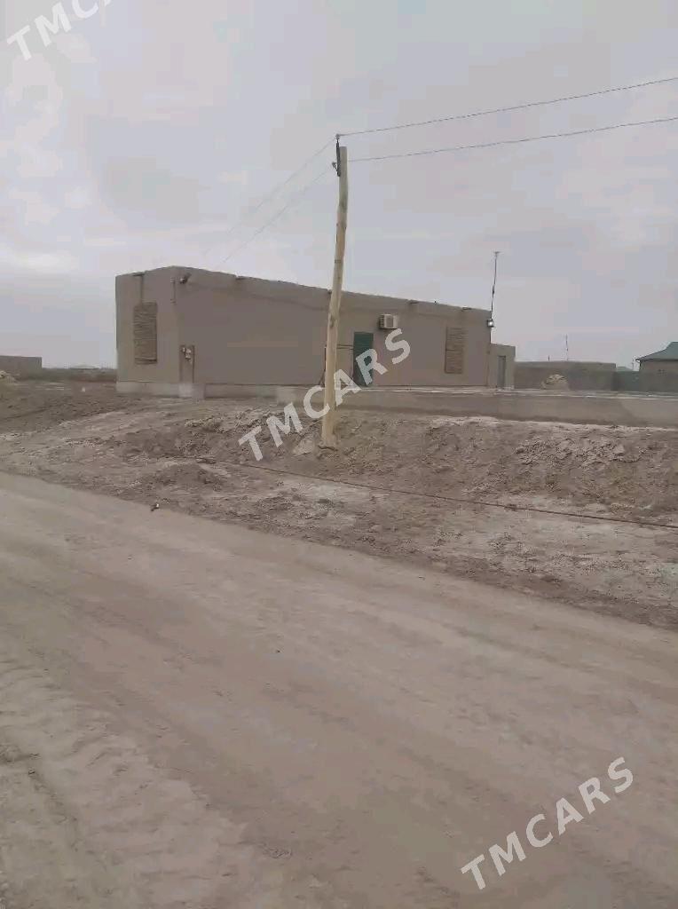Satlyk jay - Türkmenbaşy etr. - img 3