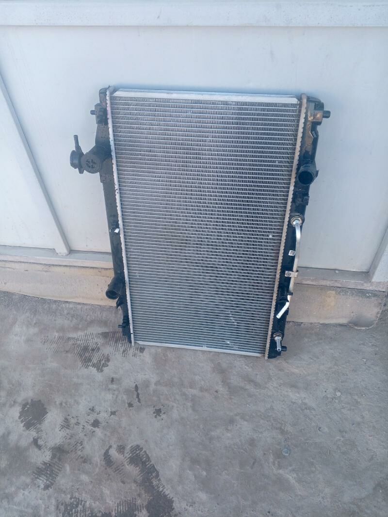 Radyator 1 000 TMT - Гороглы (Тагта) - img 2