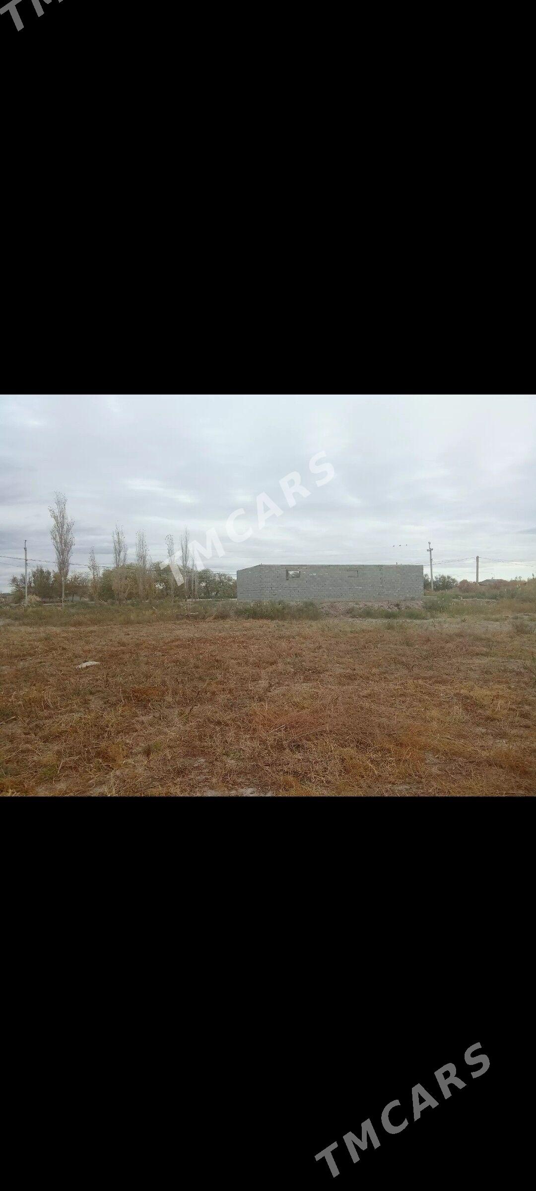 Uchastok участок - Köneürgenç - img 4