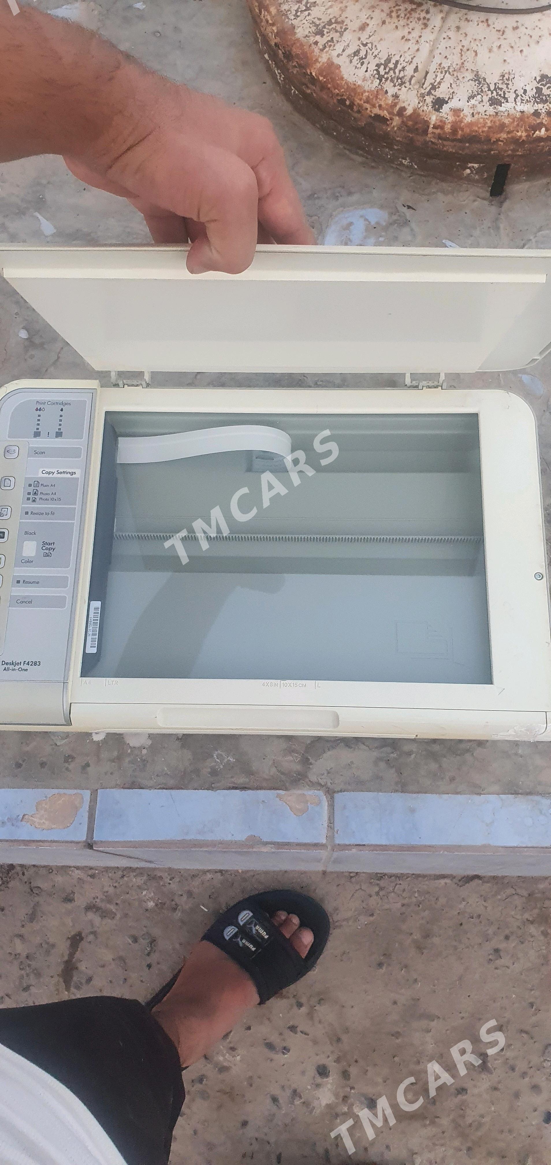Printer - Sakarçäge - img 3