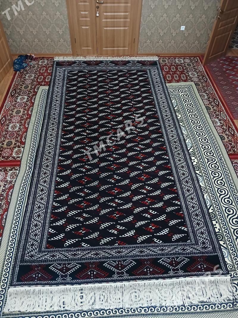 GARA HALY-(Dyrnak göl) - Balkanabat - img 4