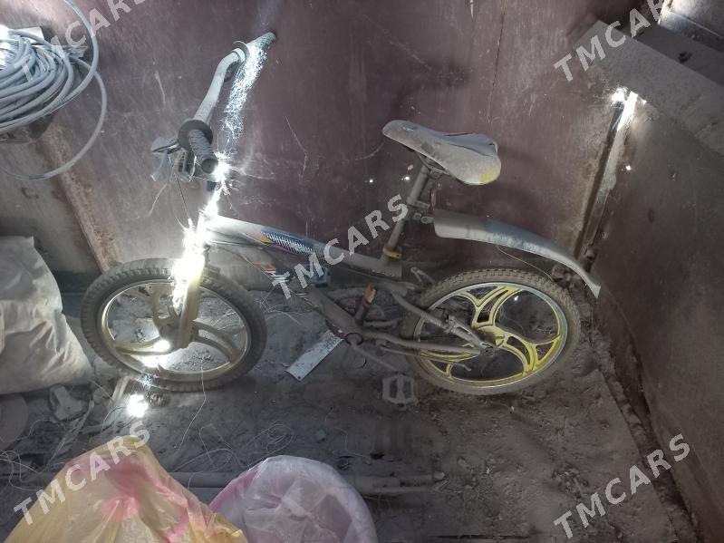 BMX tigir - Mary - img 2