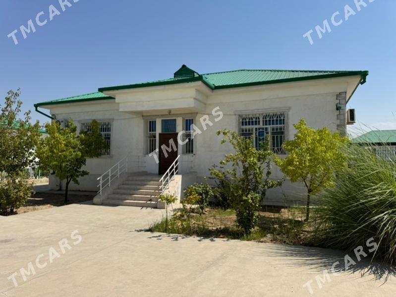 Taze zaman - Aşgabat - img 2
