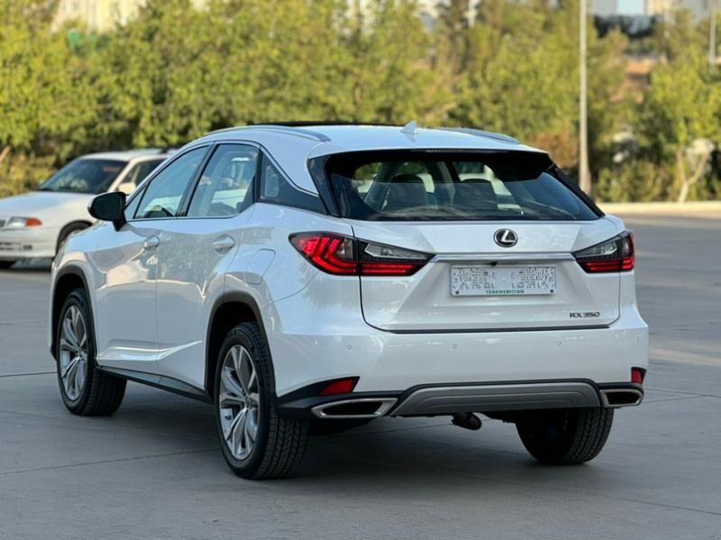 Lexus RX 350 2020 - 577 000 TMT - Ашхабад - img 4
