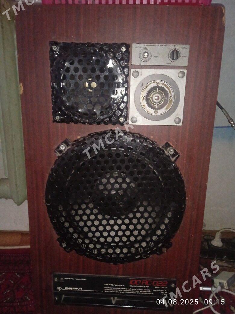 amfiton - Дашогуз - img 1
