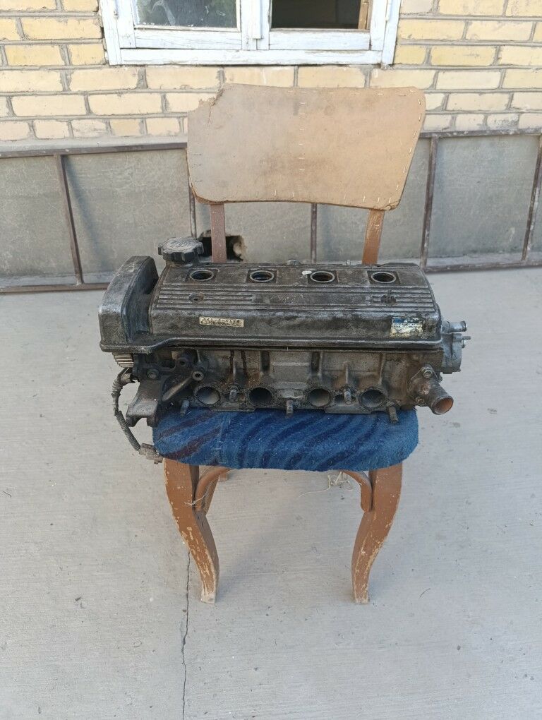 Збор галофка 1 200 TMT - Türkmenabat - img 2