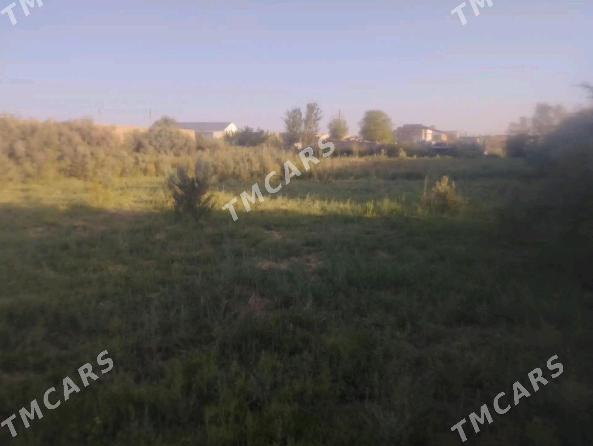 Затон дача - Туркменабат - img 4