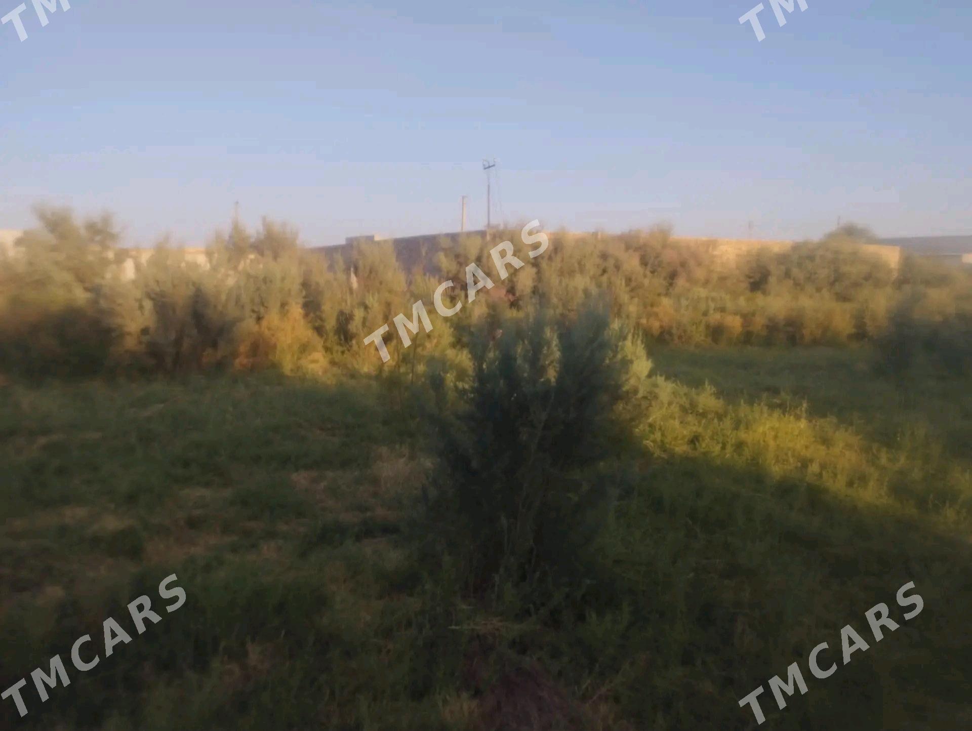 Затон дача - Туркменабат - img 9