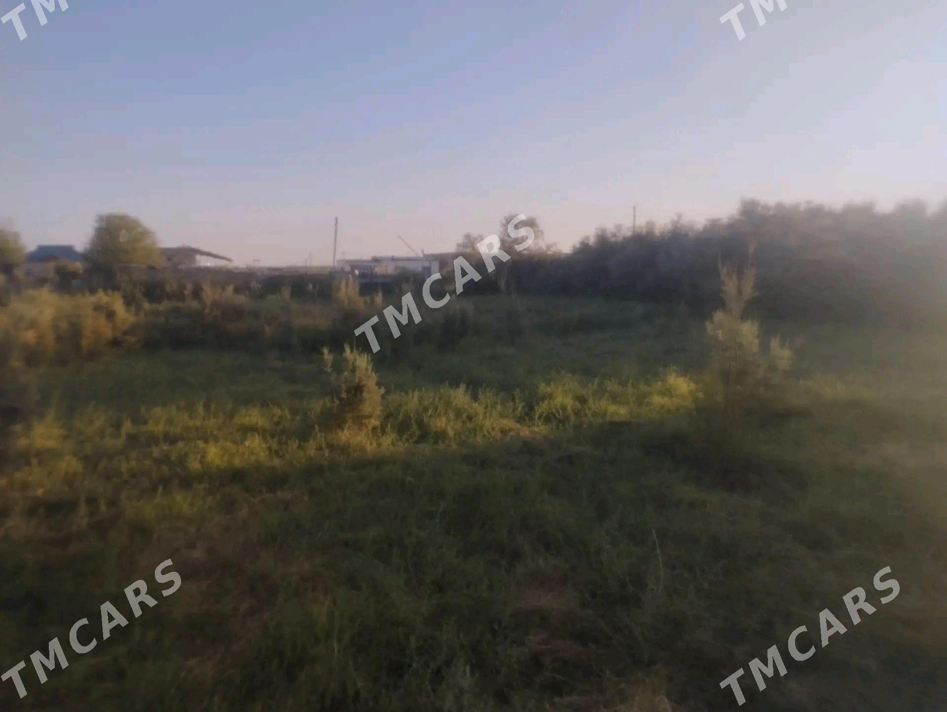 Затон дача - Туркменабат - img 5