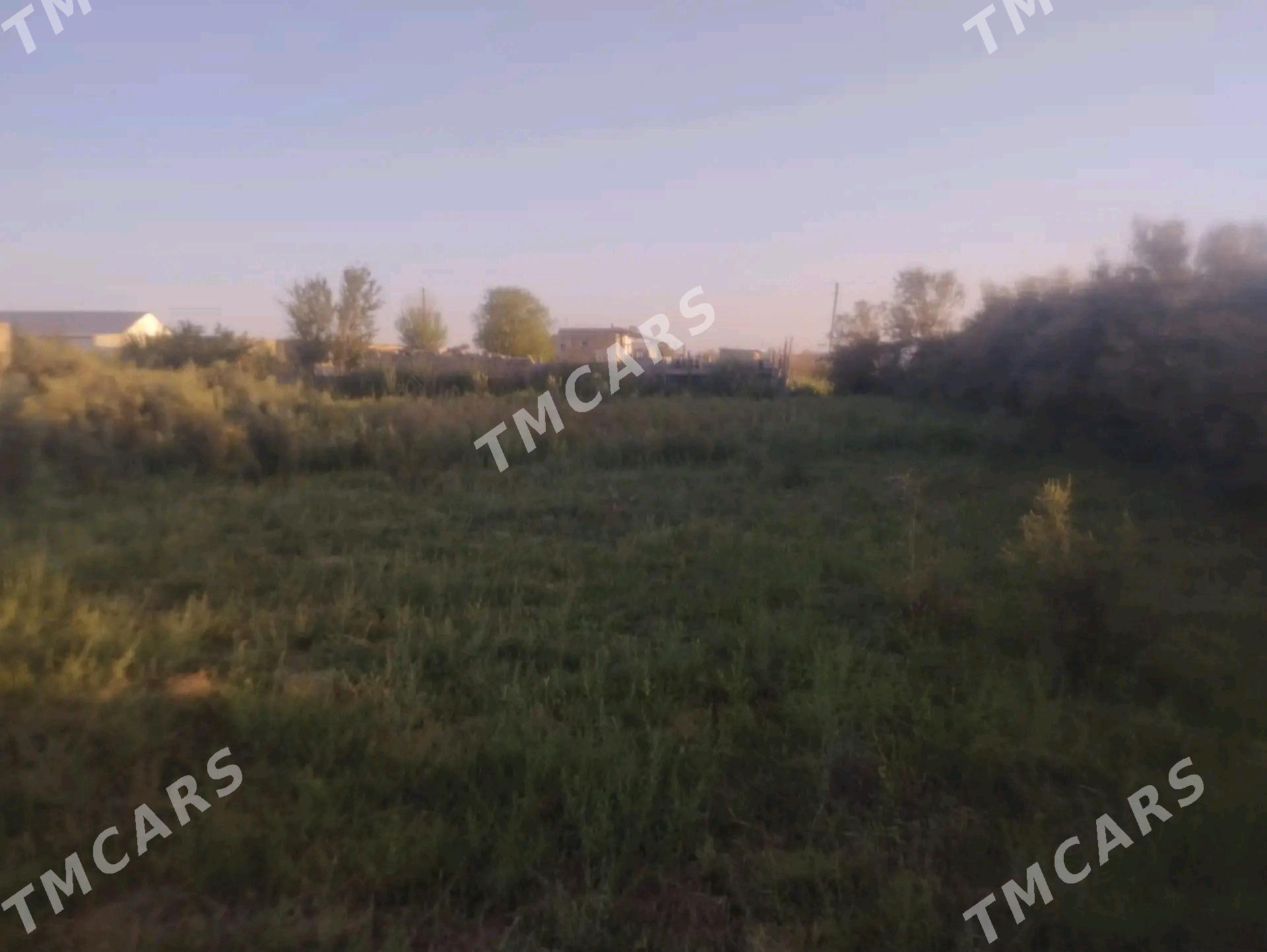 Затон дача - Туркменабат - img 7
