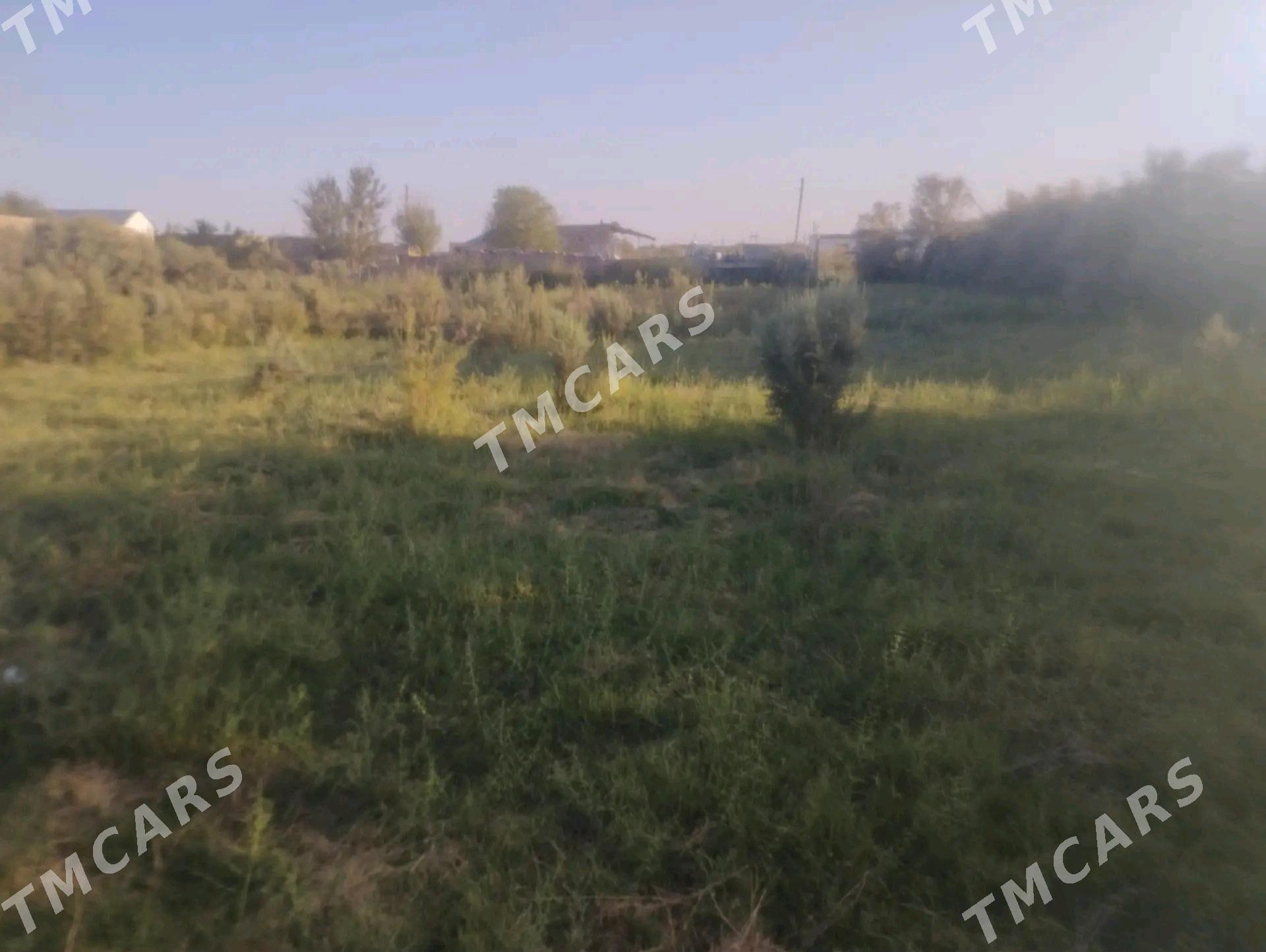 Затон дача - Туркменабат - img 3