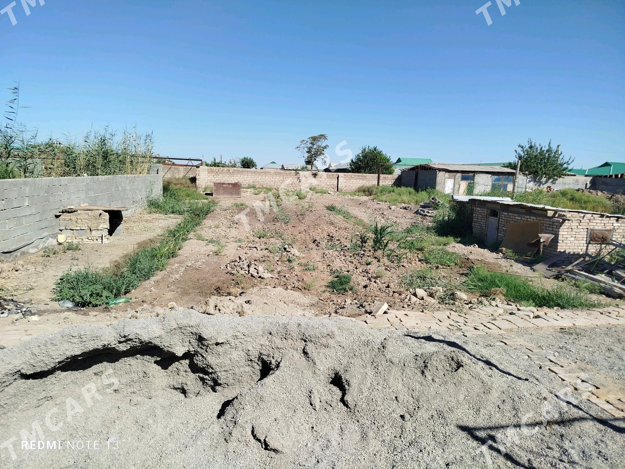 plan jay - Яшлык - img 3