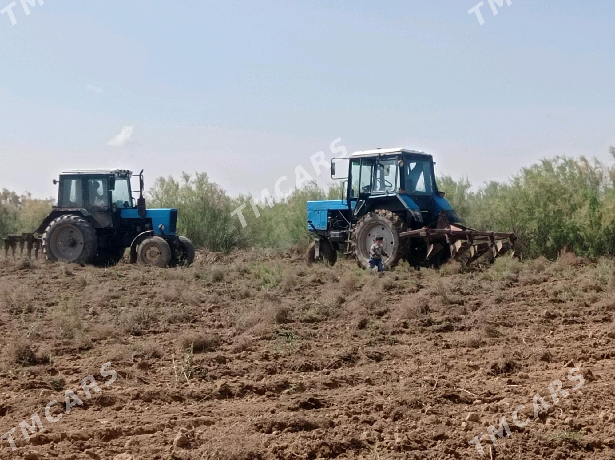 MTZ 80 2002 - 70 000 TMT - Baýramaly - img 4