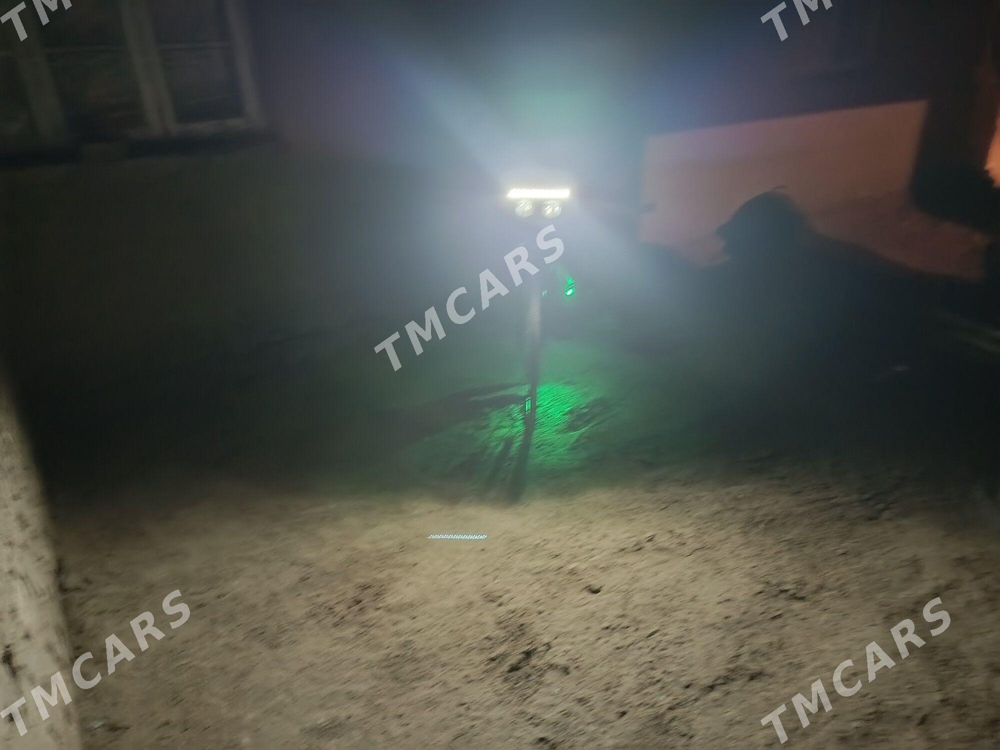 27welik - Murgap - img 3