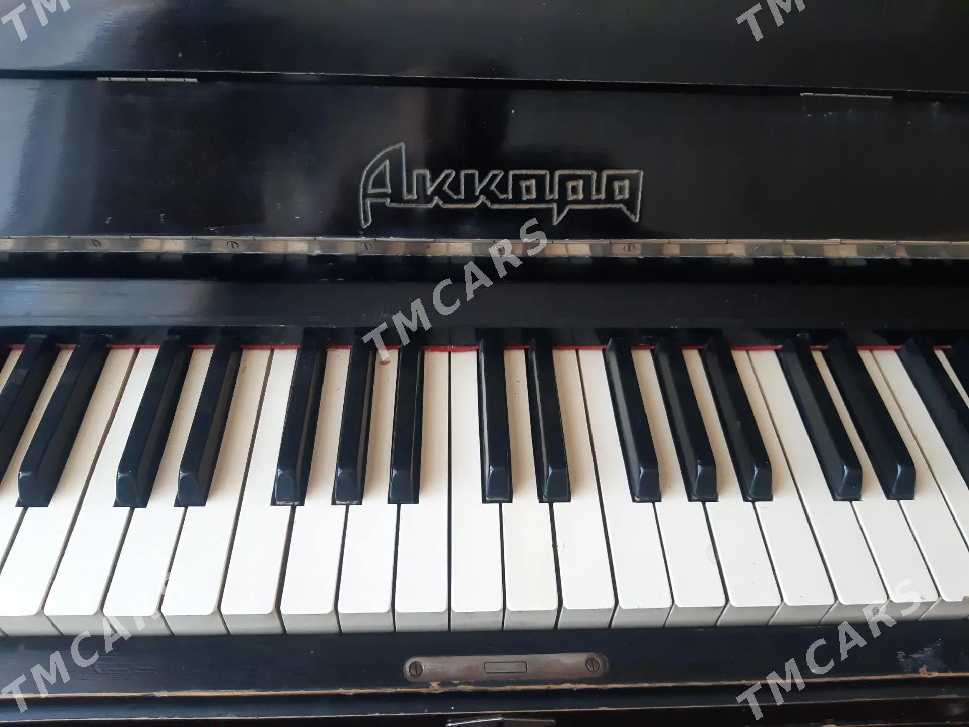 pianino akkord - Ашхабад - img 2