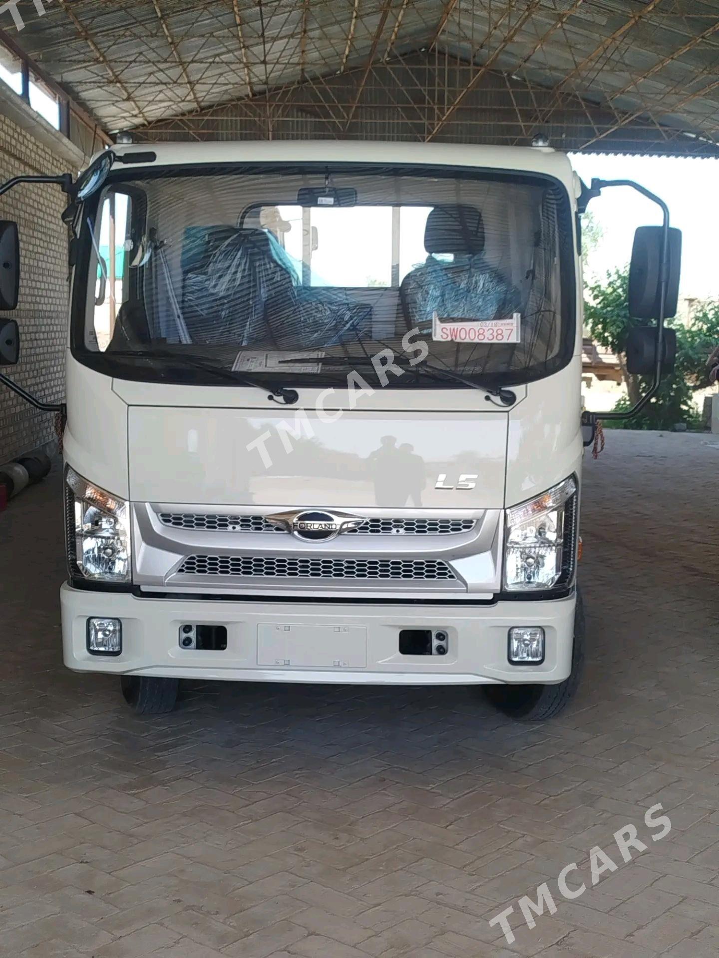 Forland H2 2025 - 305 000 TMT - Каракумский этрап - img 2