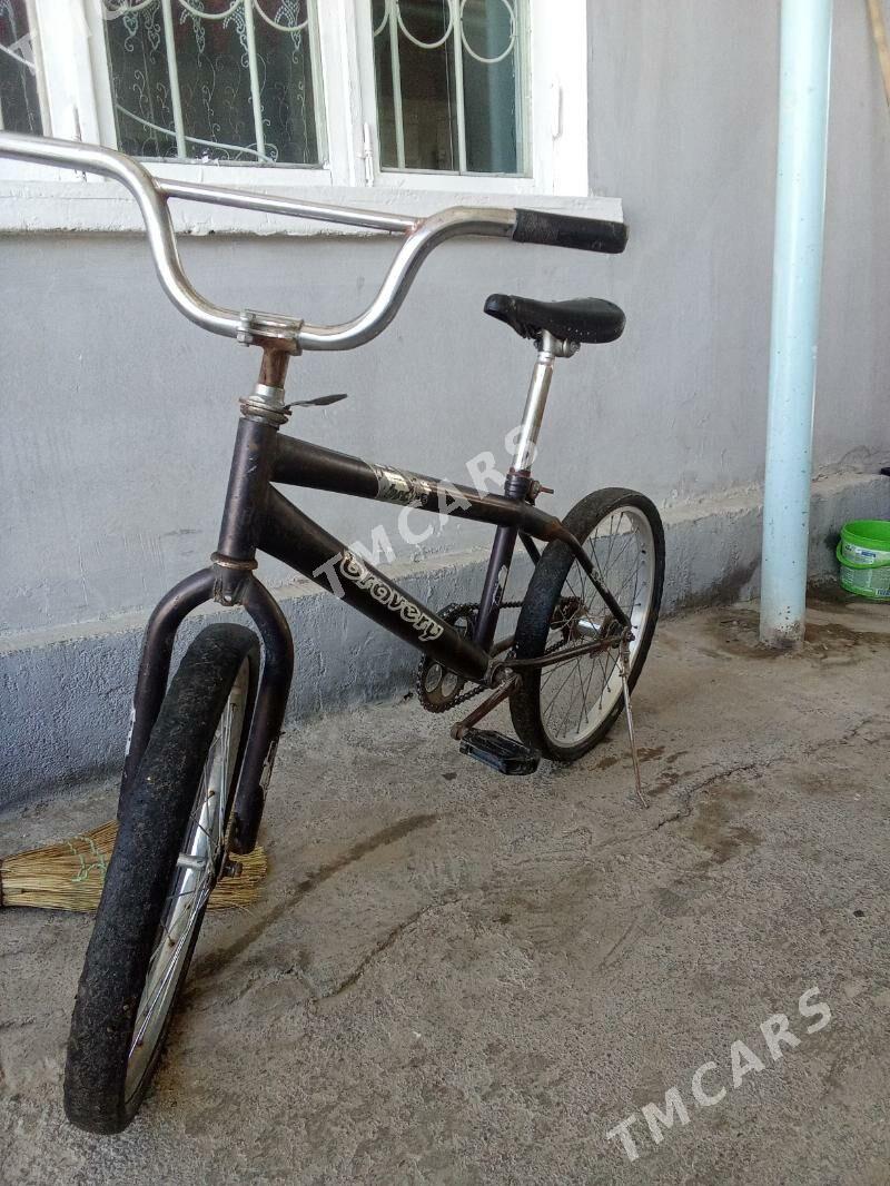 tigir - Багир - img 4