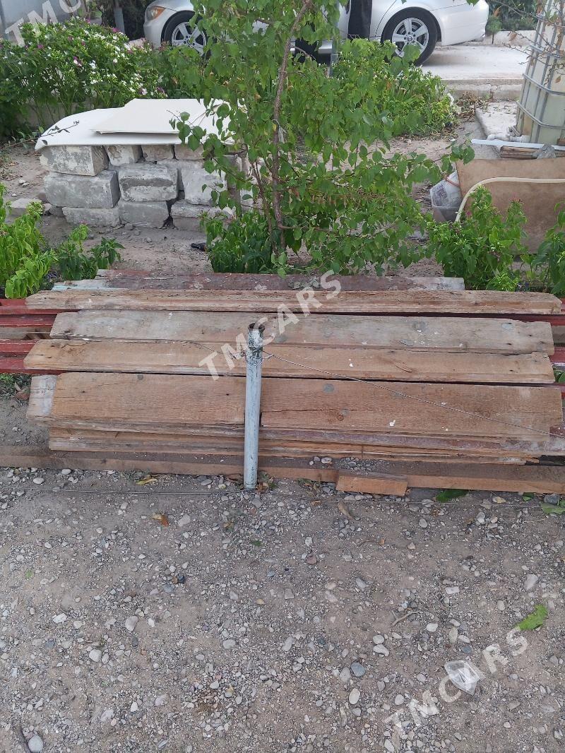 pol üçin agaçlar. - Türkmenbaşy - img 2