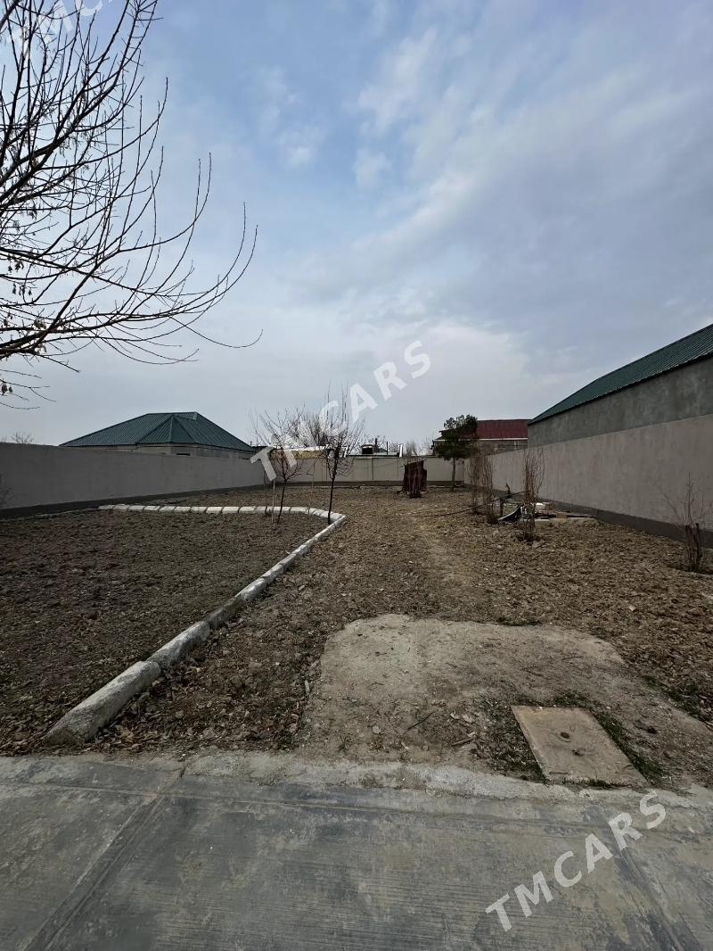 Bagyr Mirewe - Aşgabat - img 7
