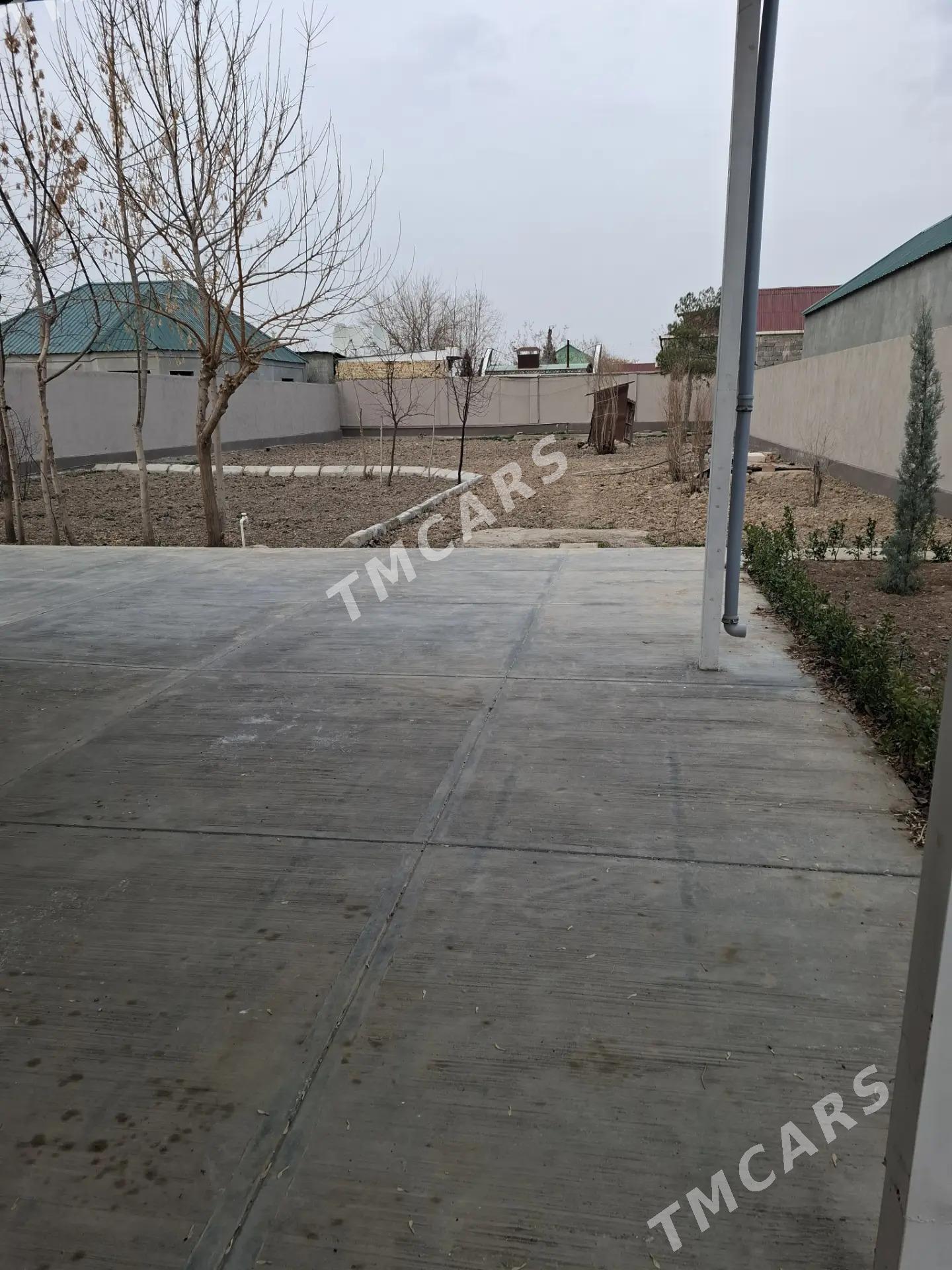 Bagyr Mirewe - Aşgabat - img 6