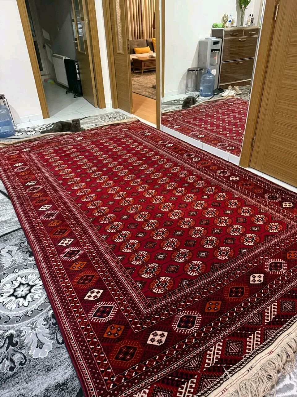 EL HALY 4*2,5 - Ашхабад - img 3