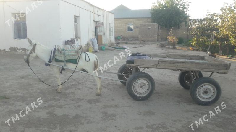 ESEK ARABA - Байрамали - img 5