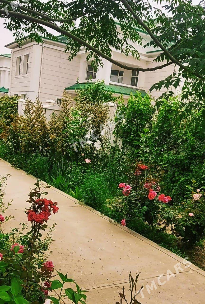 arenda çyzgy katej - Aşgabat - img 3