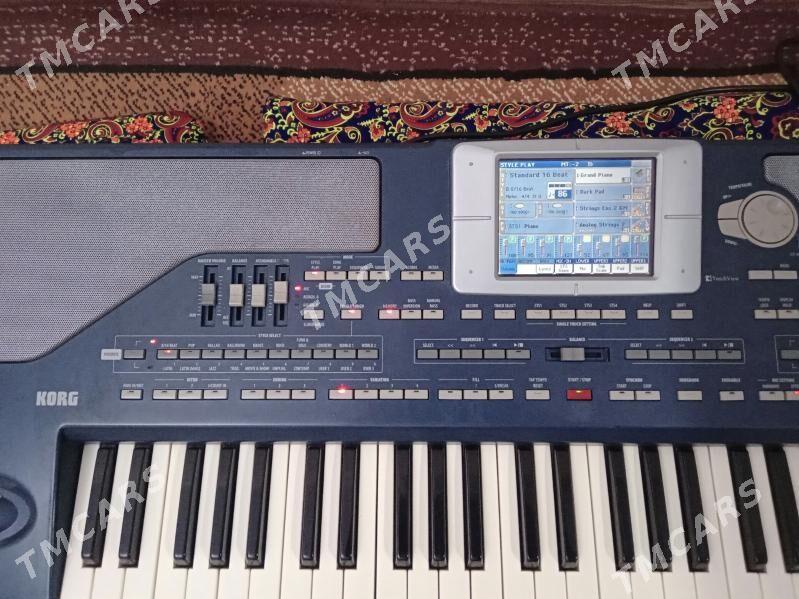 KORG  PA  800 - Туркменабат - img 5