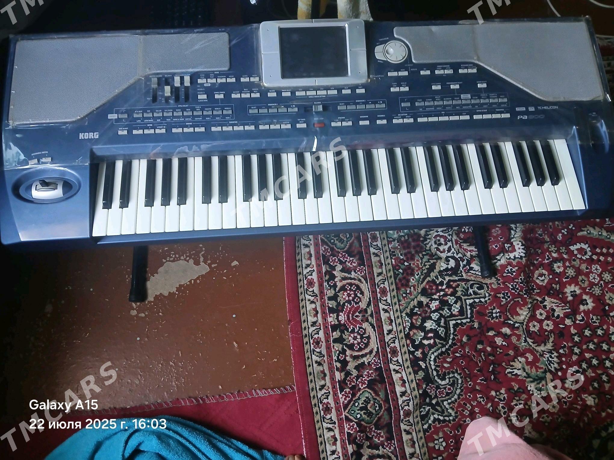 KORG PA 800 - Sakarçäge - img 2